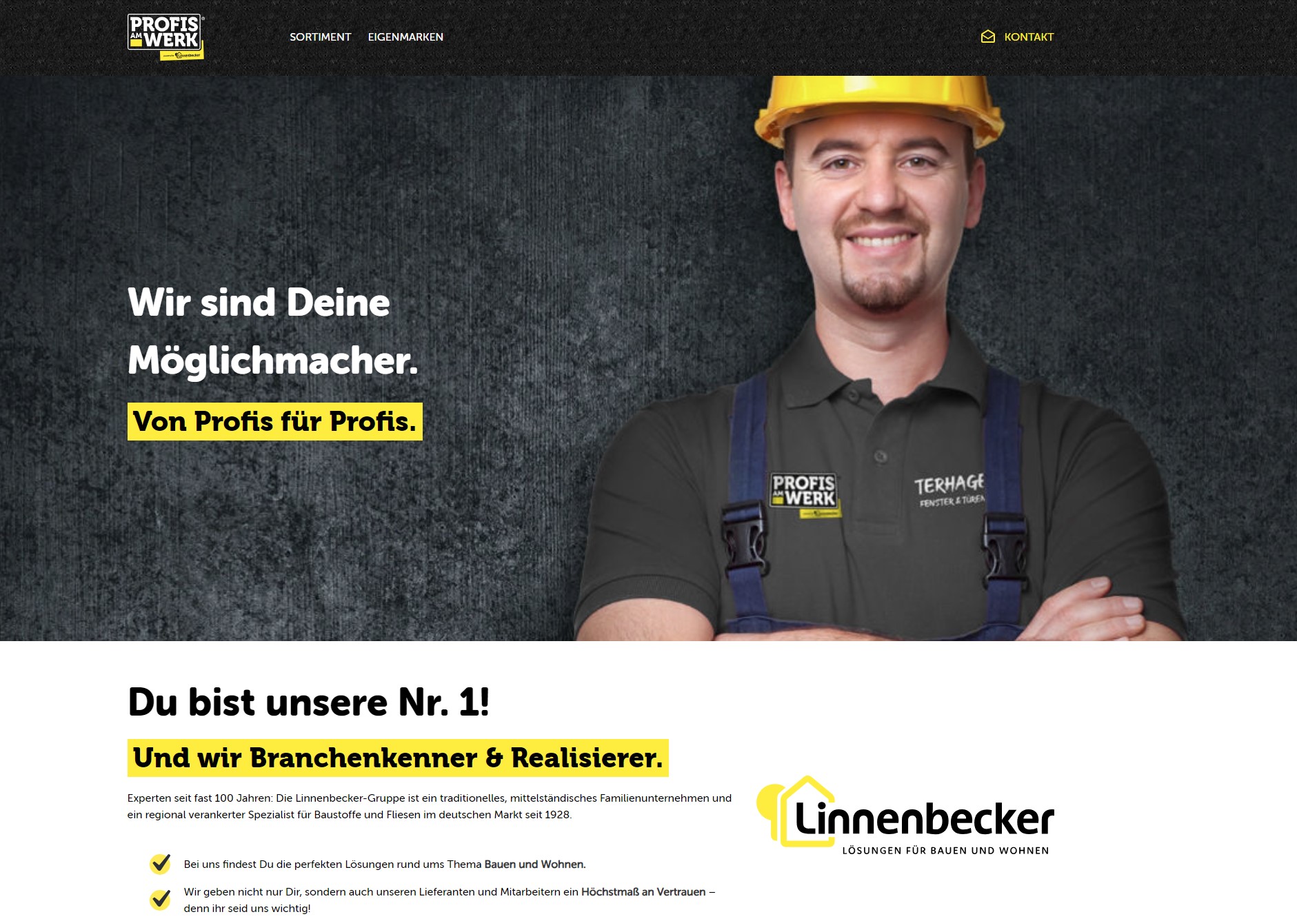 Profis am Werk by Linnebecker